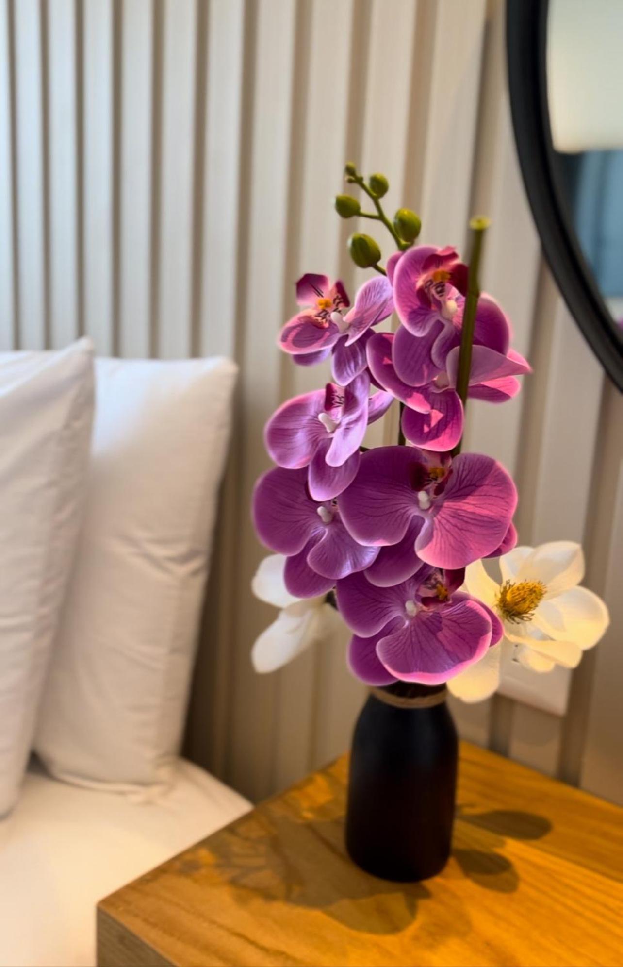 Coralia Boutique Hotel โกซูเมล ภายนอก รูปภาพ
